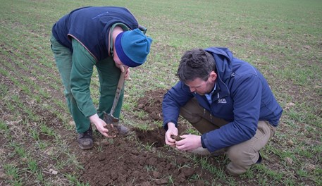 Webinar: Strategic Cereal Farm Scotland Research Update